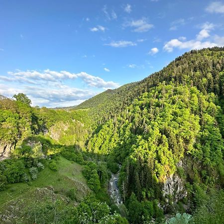 Apartmán Green Mountain Bordžomi Exteriér fotografie