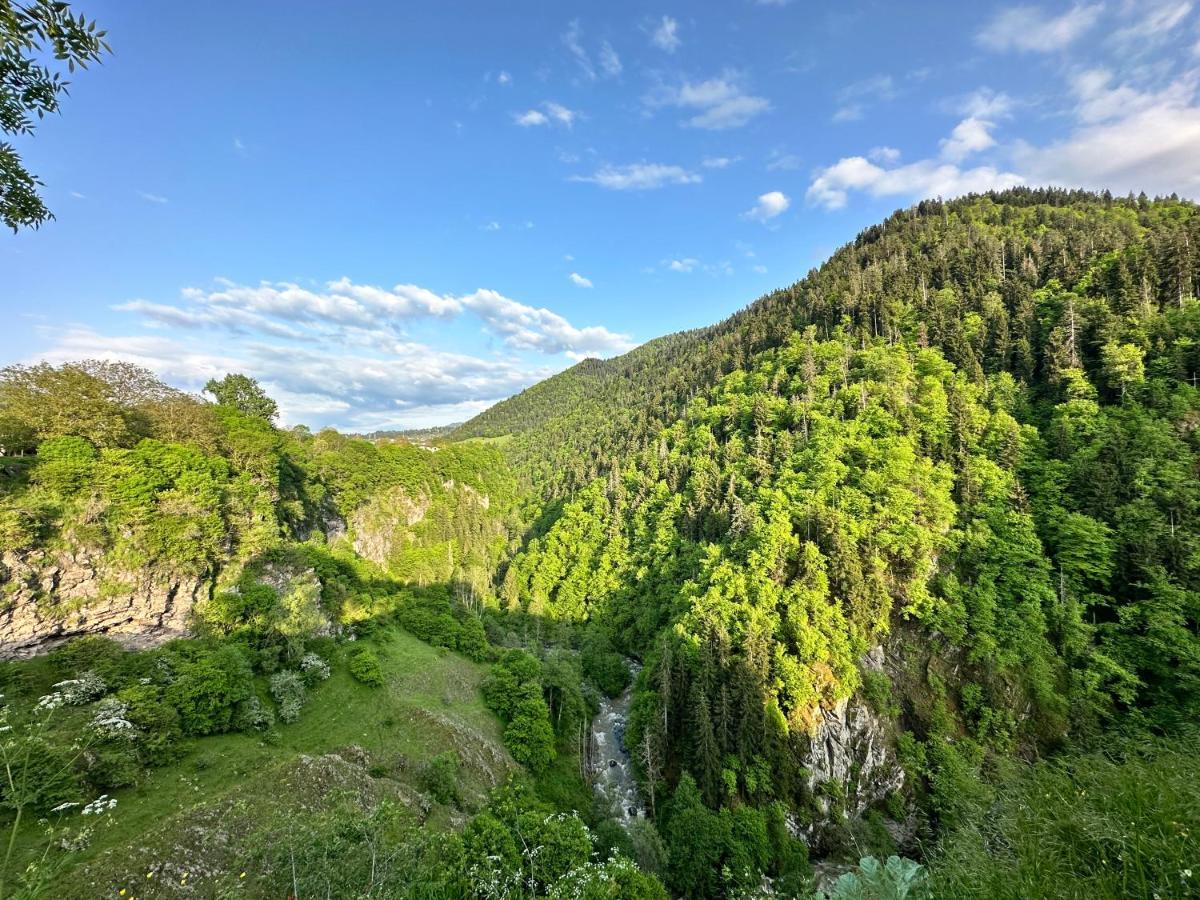 Apartmán Green Mountain Bordžomi Exteriér fotografie