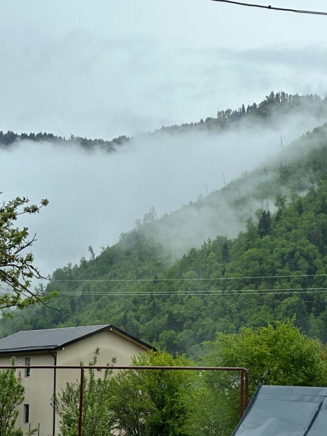 Apartmán Green Mountain Bordžomi Exteriér fotografie