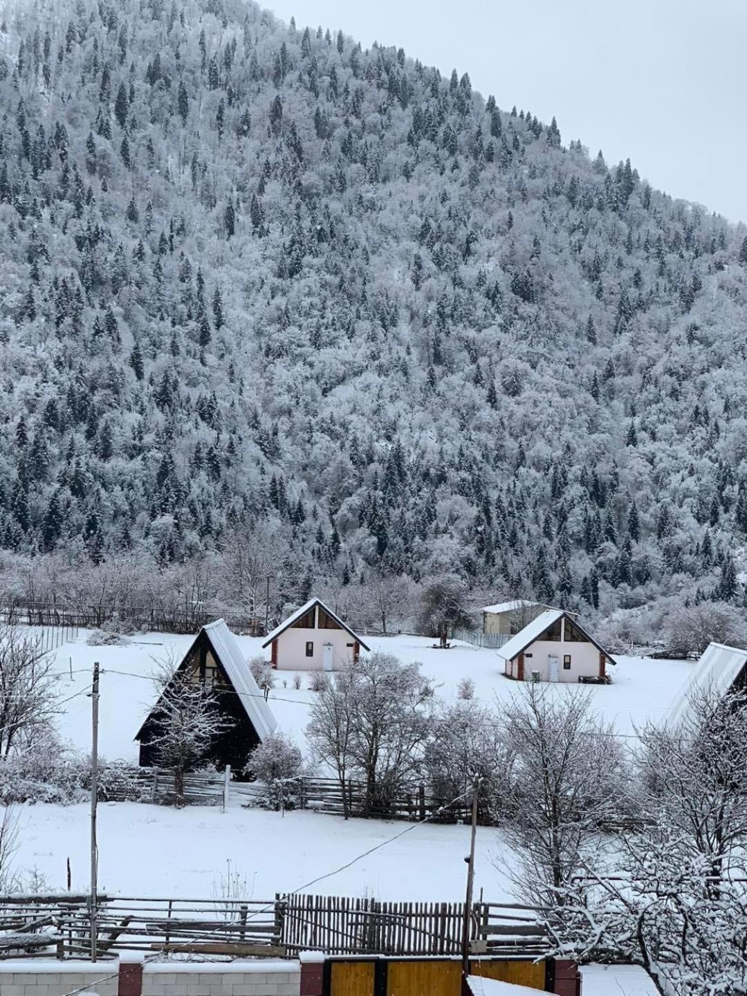 Apartmán Green Mountain Bordžomi Exteriér fotografie